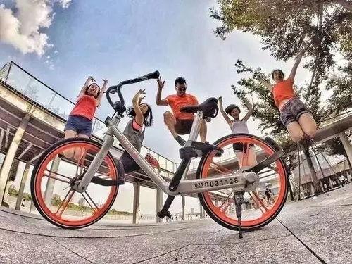 德国自行车爆料大全新闻,揭秘行业黑幕与安全隐患